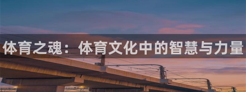 德国MK体育官方正版app集团:体育之魂:体育文化中的智慧与